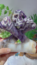 Load and play video in Gallery viewer, Dream Amethyst Skull&amp;Bone Hand Carving
